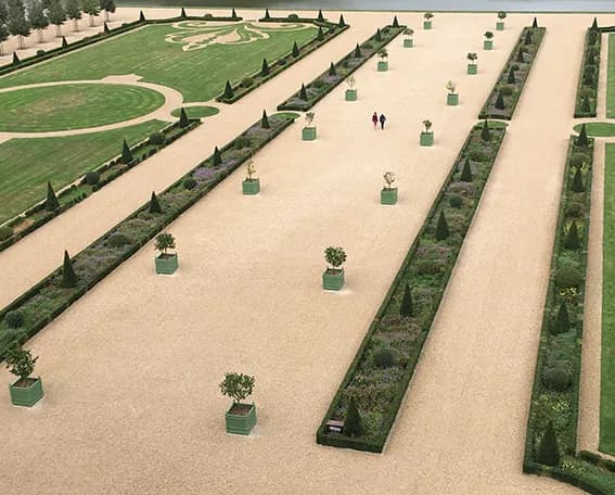 Bandeja de naranjas modelo 10